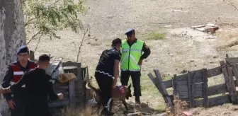 Şizofreni Hastası Adamın Parçalara Ayrılmış Cesedi Bulundu