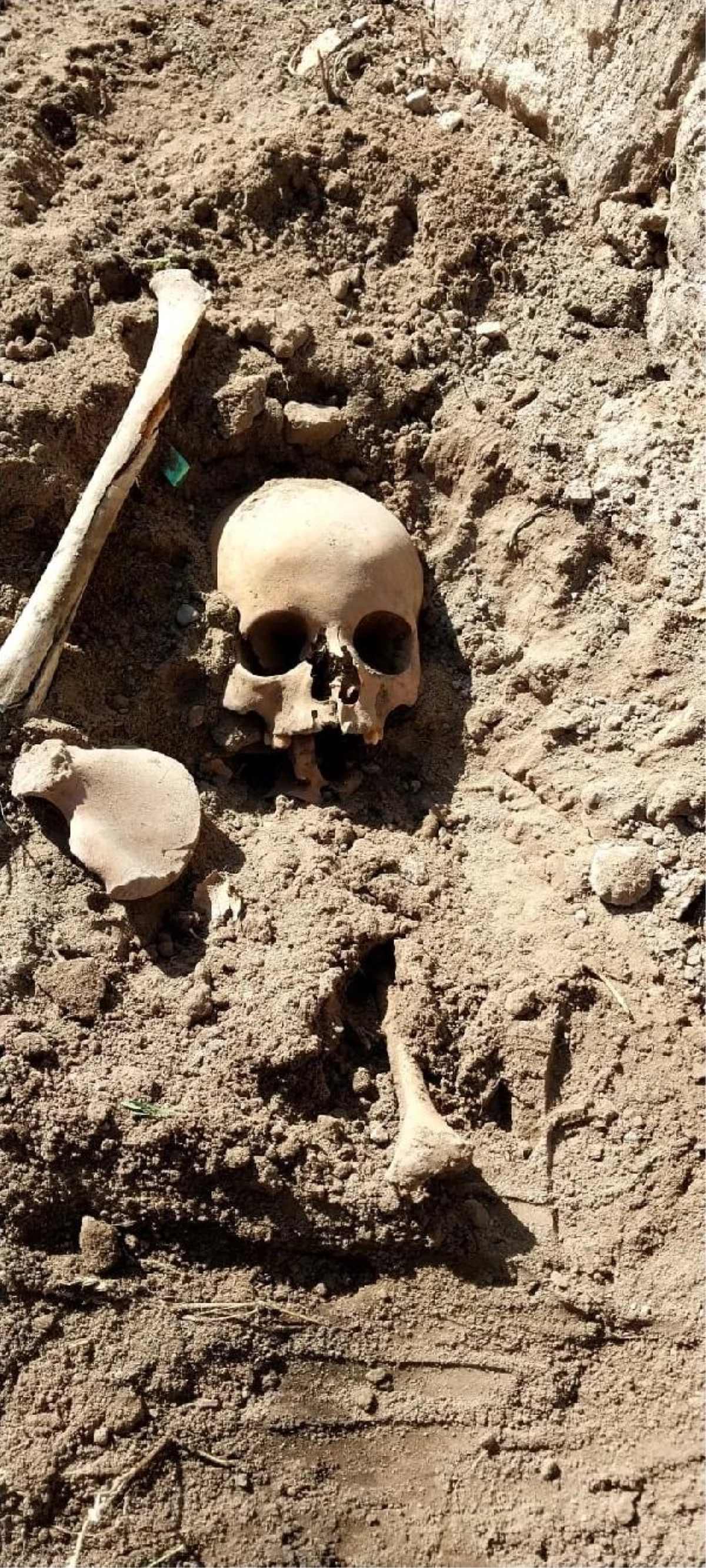 KAYSERİ İncesu\'da Okul Bahçesinde İnsan Kafatası ve Kemikleri Bulundu