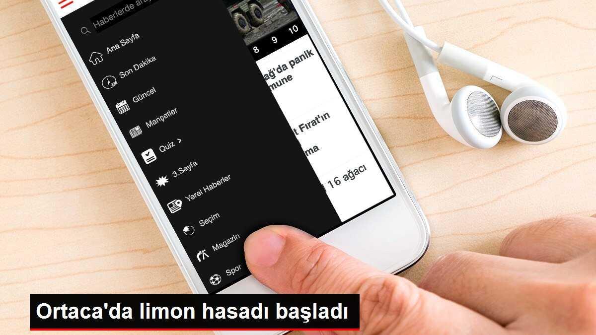 Ortaca'da limon hasadı başladı