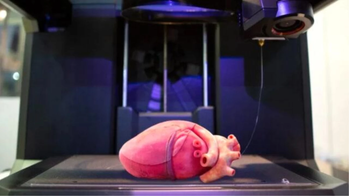 Litvanyalı Girişim Vital3D, 3D Baskılı Organlarla Böbrek Nakli Sorununu Çözebilir