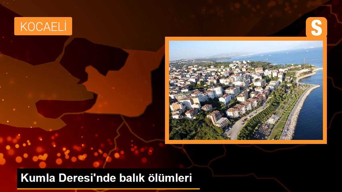 Kumla Deresi\'nde balık ölümleri