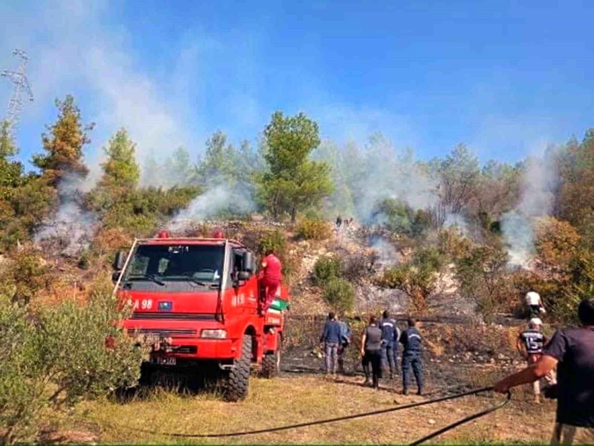 Muğla\'da tarladan çıkan yangın kontrol altına alındı