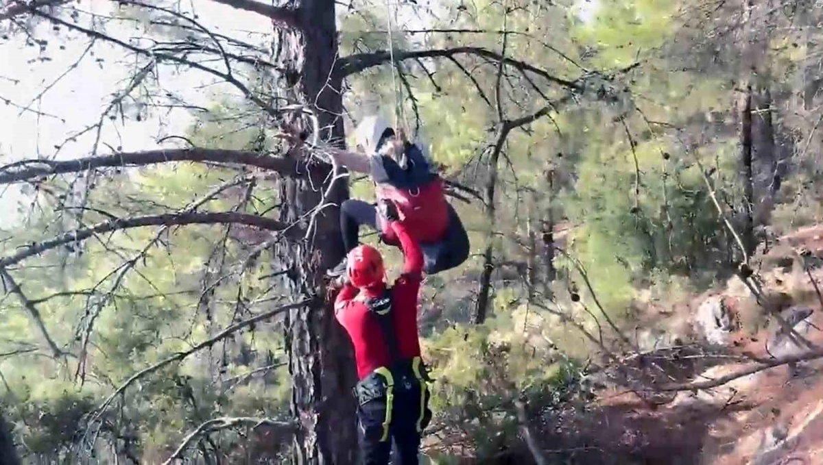 Fethiye\'de Paraşütçü Ağaca Asılı Kaldı