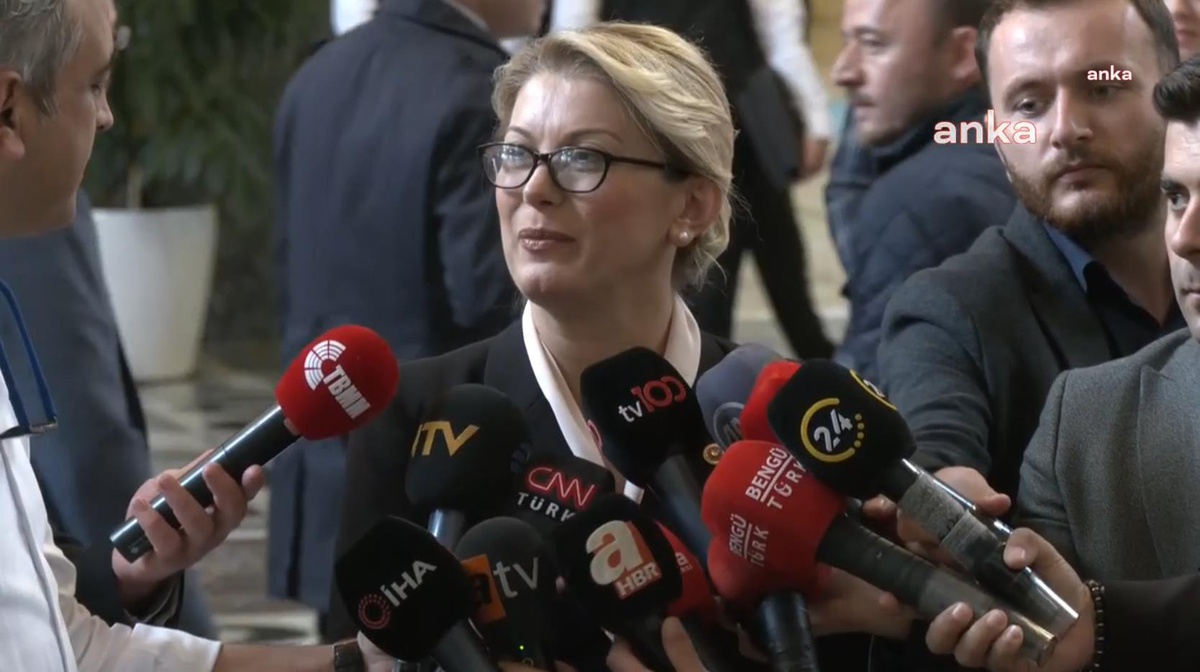 CHP Milletvekili Asu Kaya, Sağlık Bakanlığı\'nın 2024 bütçe teklifini eleştirdi