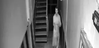 Avcılar'da Sokak Kedileri İçin Alınan Mama Çalındı