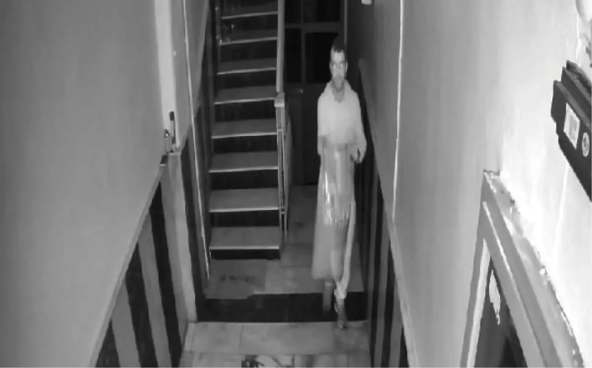 Avcılar'da Sokak Kedileri İçin Alınan Mama Çalındı