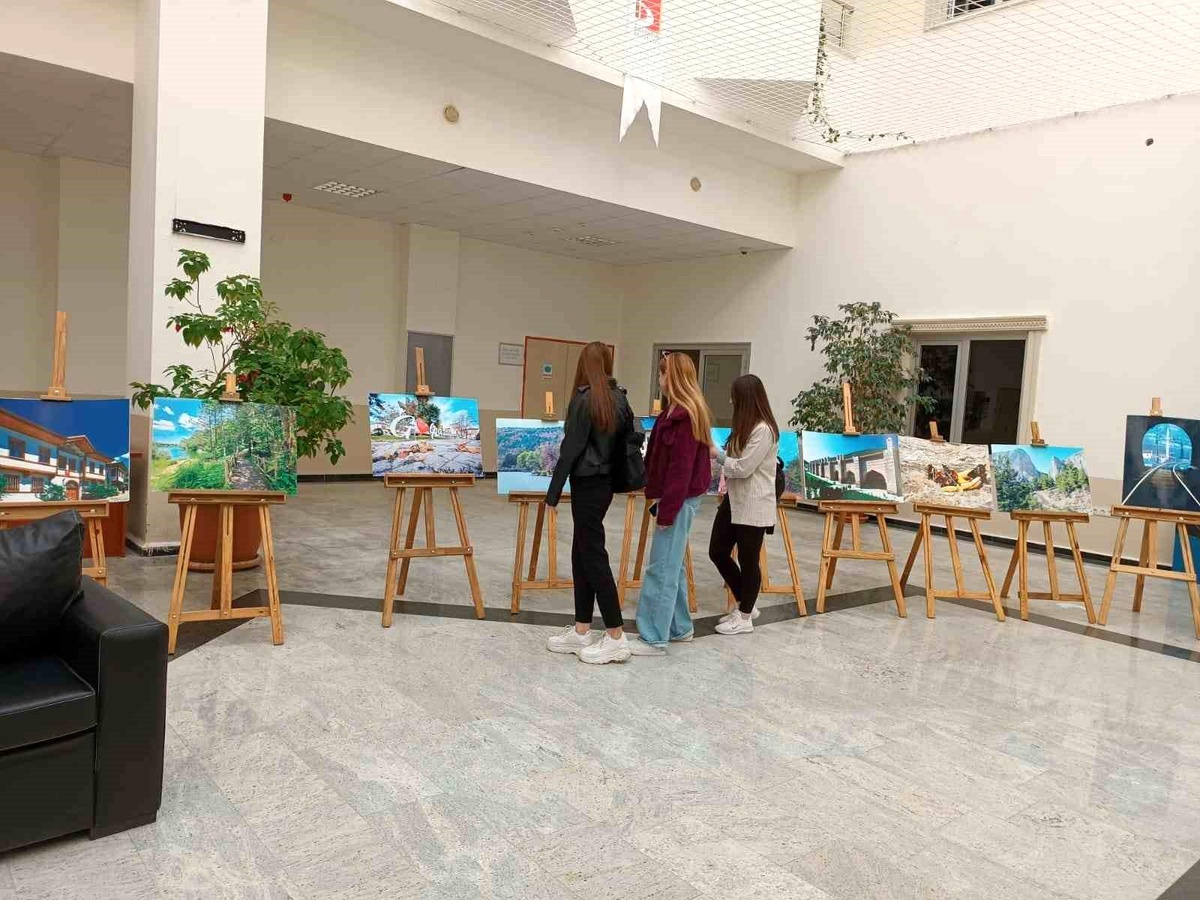Bilecik\'teki resim ve fotoğraf sergisi beklenen ilgiyi görmedi