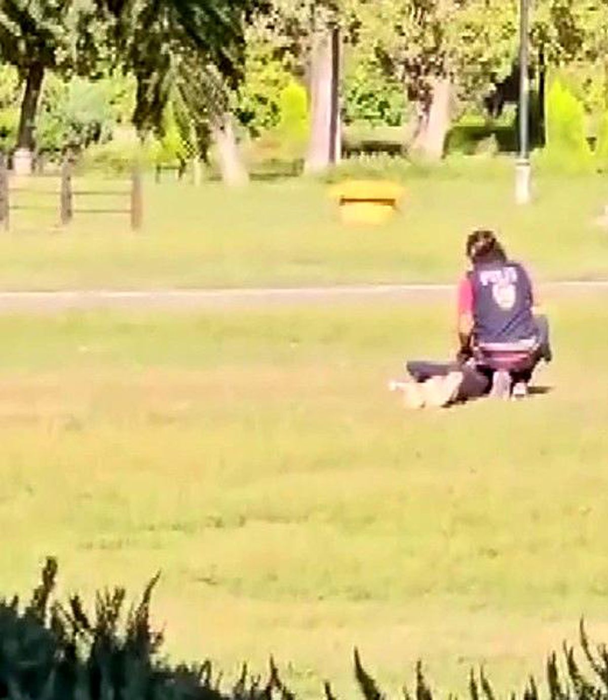 Adana\'da Cam Silme Bahanesiyle Sürücüleri Taciz Edenlere Operasyon