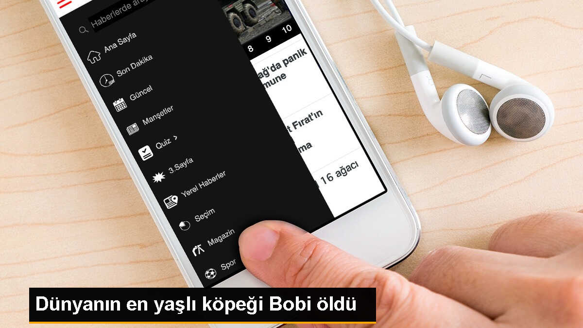Dünyanın en yaşlı köpeği Bobi hayatını kaybetti