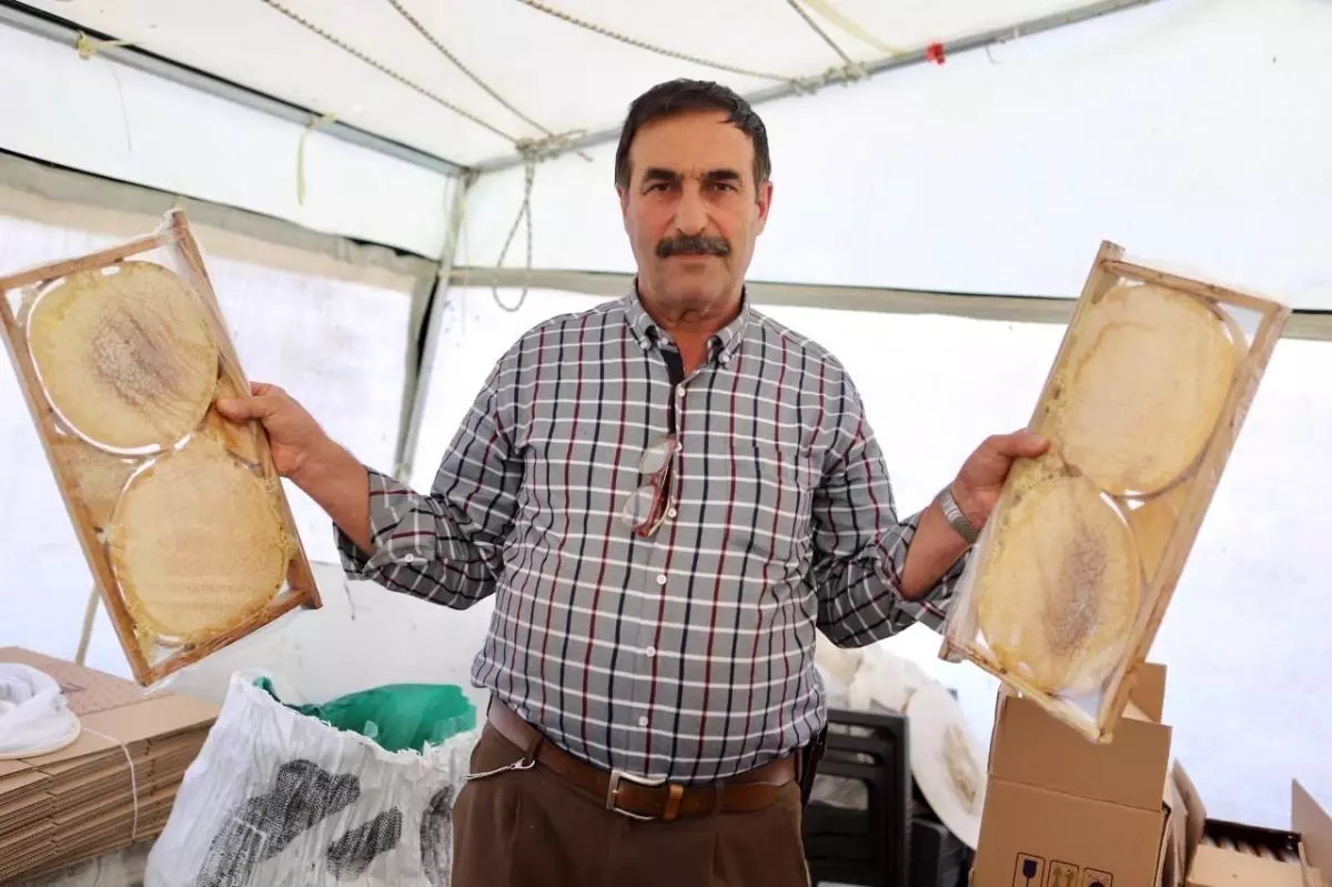 Lösemi Hastasına Uygulanan Bal Tedavisi İle Şifa Bulundu