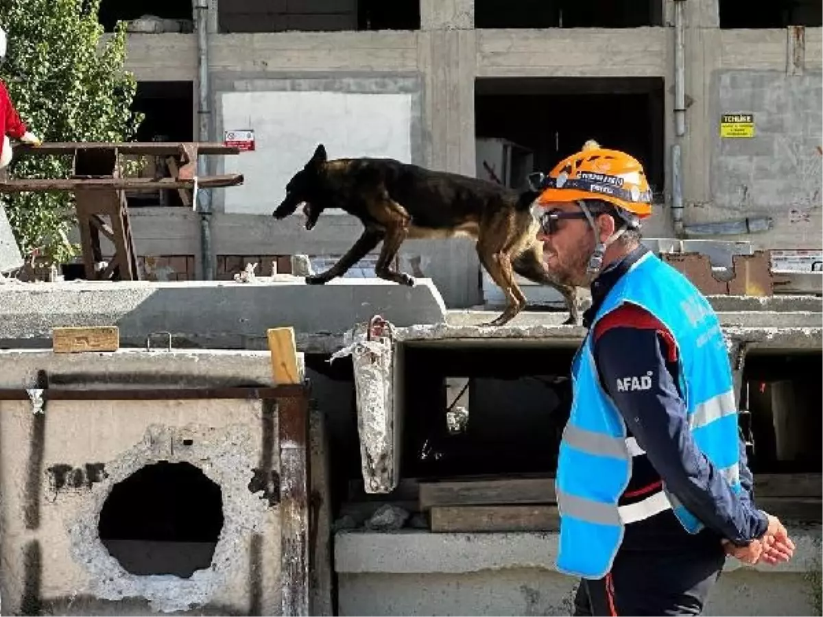 Arama Kurtarma Köpekleri Sınavına Yoğun İlgi