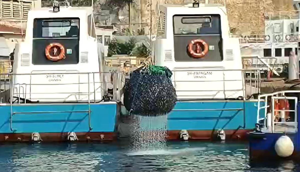 İstanbul Boğazı\'nda Yasa Dışı Midye Avcıları Yakalandı