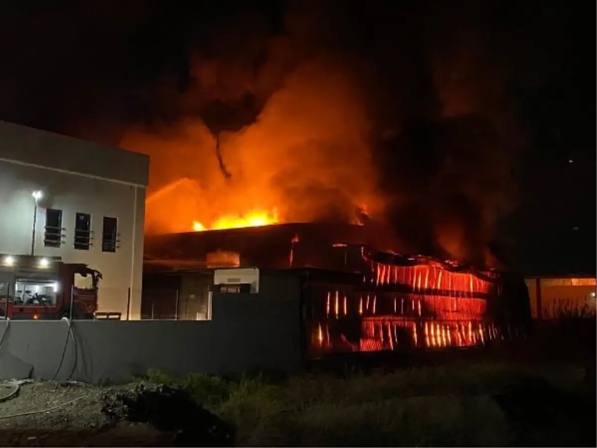 Manisa'da bir kauçuk fabrikasında yangın çıktı