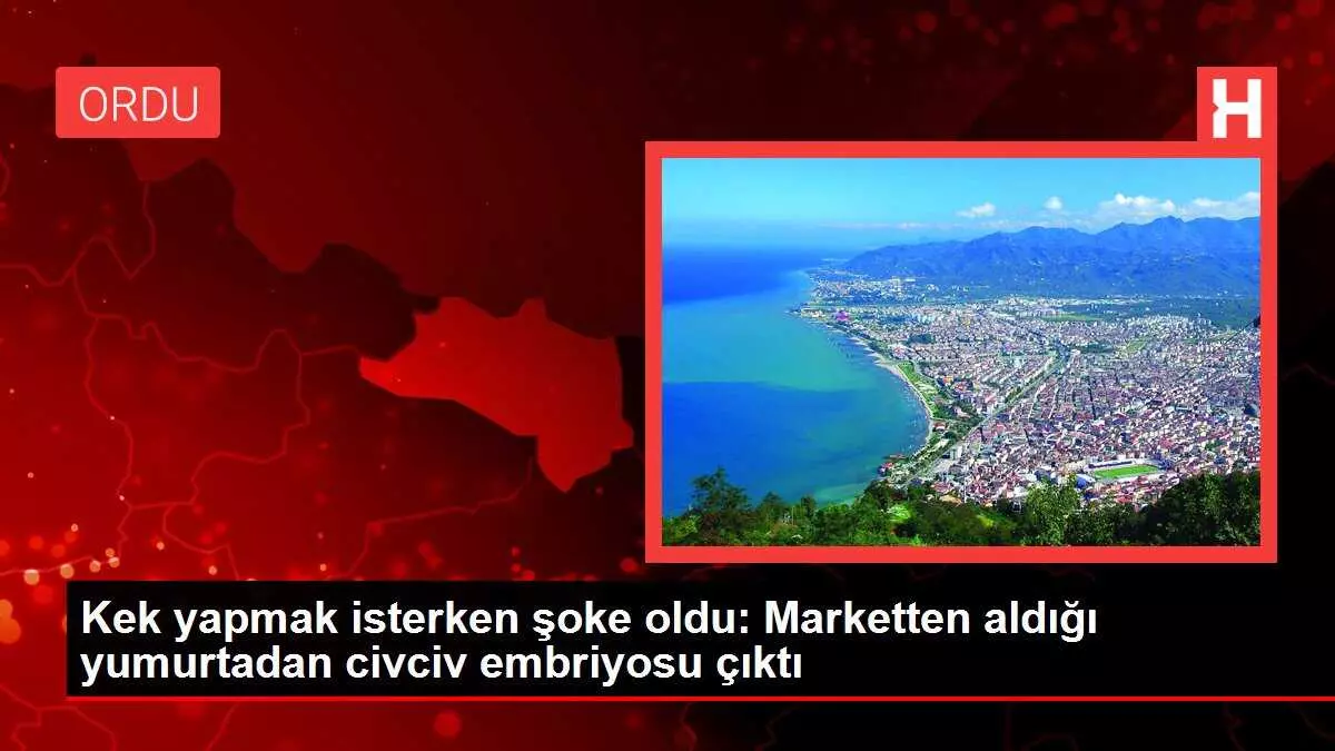 Kek yapmak isterken şoke oldu: Marketten aldığı yumurtadan civciv embriyosu çıktı