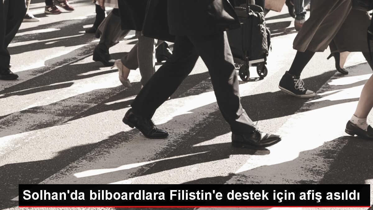 Solhan'da Filistin'e Destek İçin Afişler Asıldı