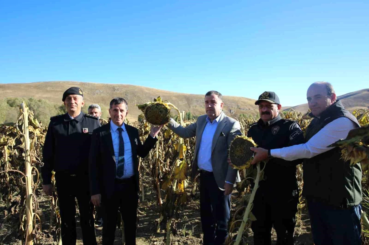 Bayburt Valisi Mustafa Eldivan, Çerezlik Ayçiçeği Üretim Alanını Ziyaret Etti
