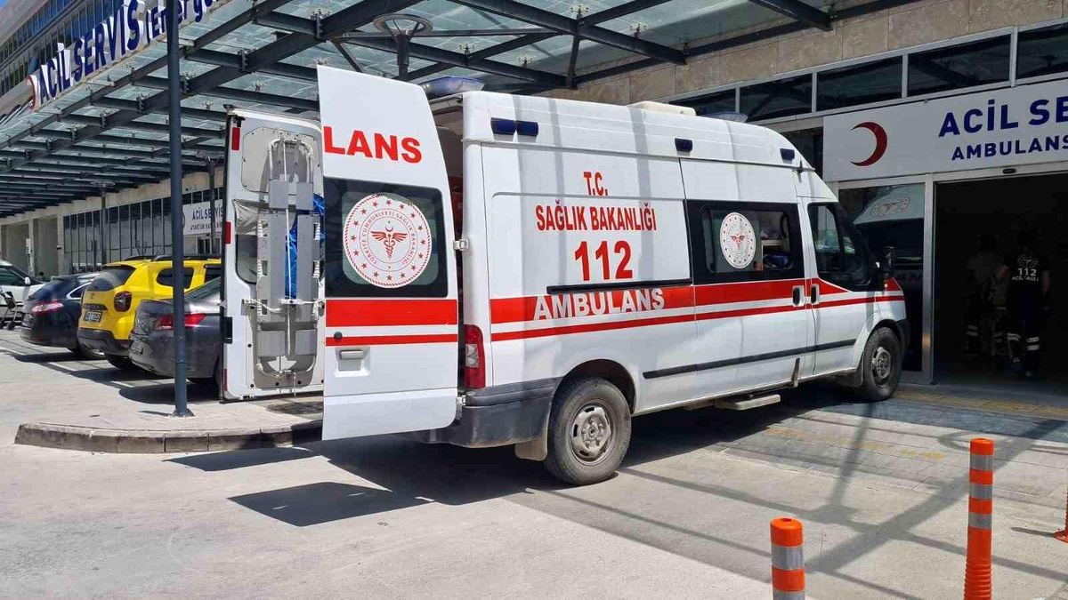 Bodrum\'da 28 günlük bebek emzirilirken hayatını kaybetti