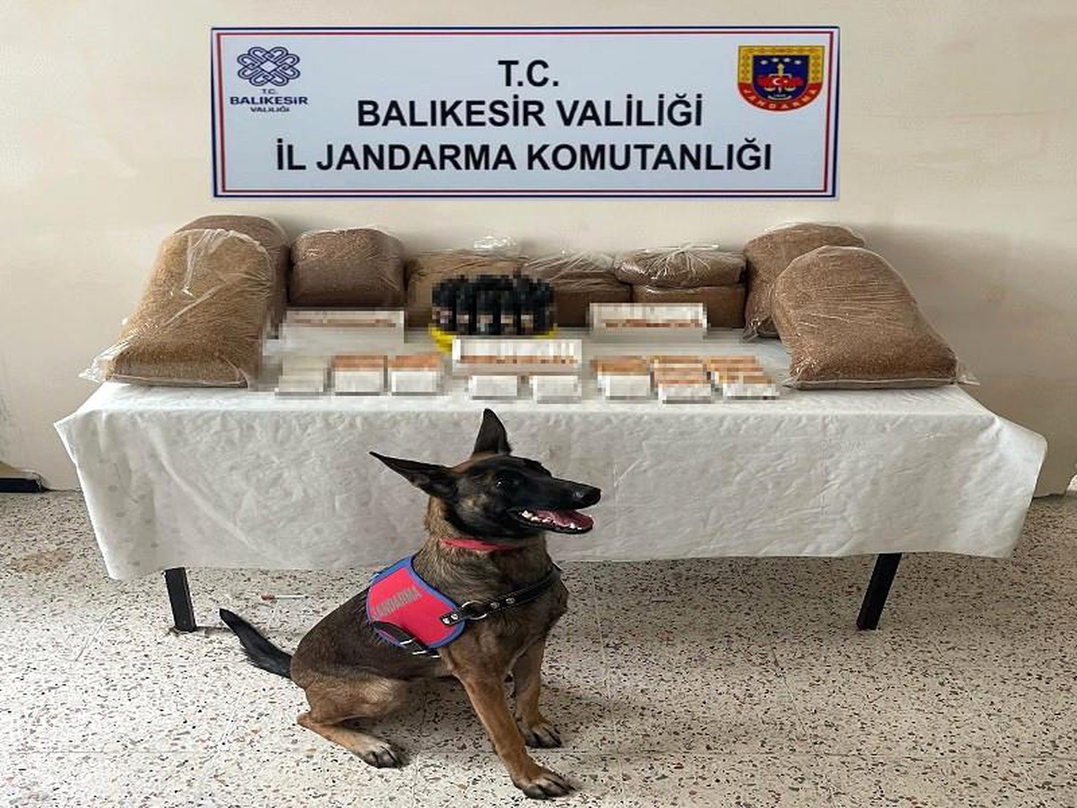 Balıkesir\'de Kaçak Tütün Operasyonunda 11 Şüpheli Gözaltına Alındı