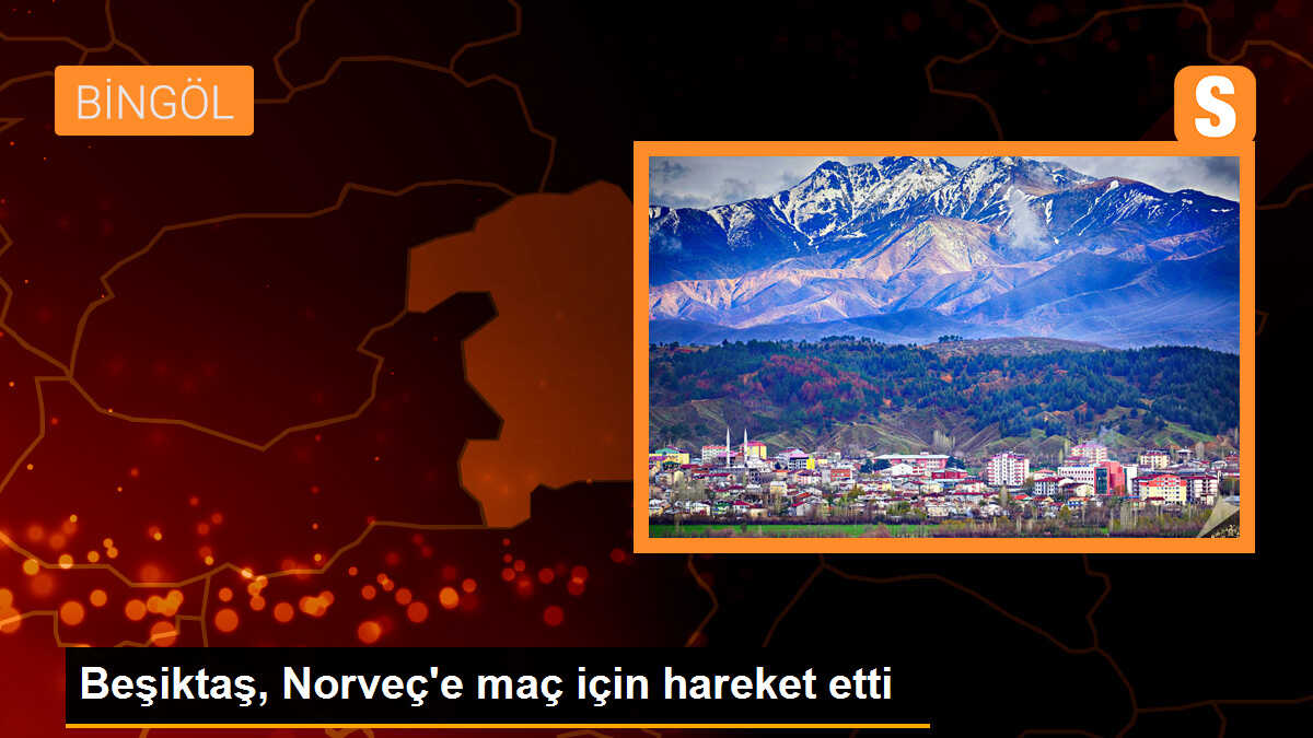 Beşiktaş, Norveç\'e maç için hazır