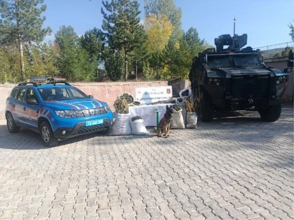 Bitlis\'te Jandarmanın Baskınında 28 Kilogram Uyuşturucu Ele Geçirildi
