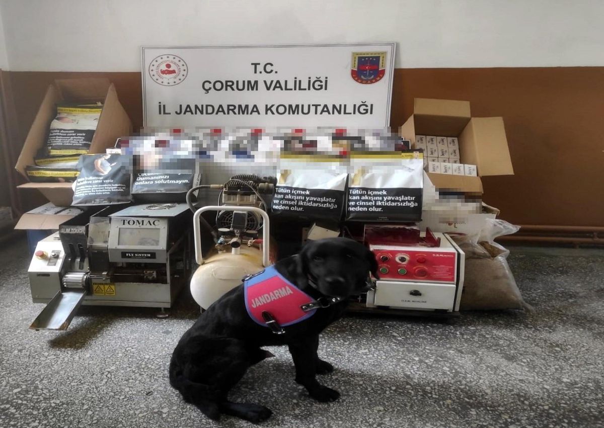Çorum\'da Kaçak Makaron Sigara ve Kıyılmış Tütün Operasyonu