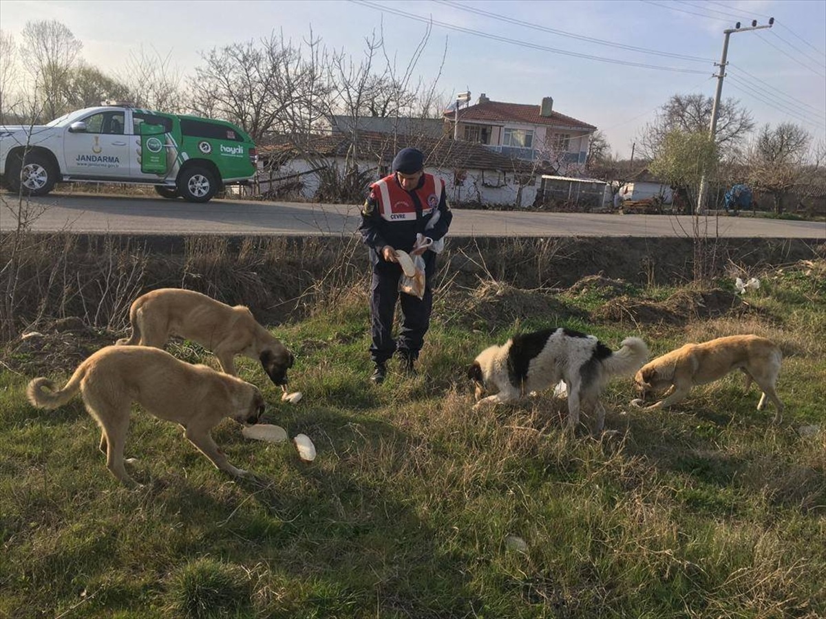 Edirne\'de Jandarma Ekipleri Öğrencilere Zararlı Alışkanlıklardan Korunma Bilgisi Verdi