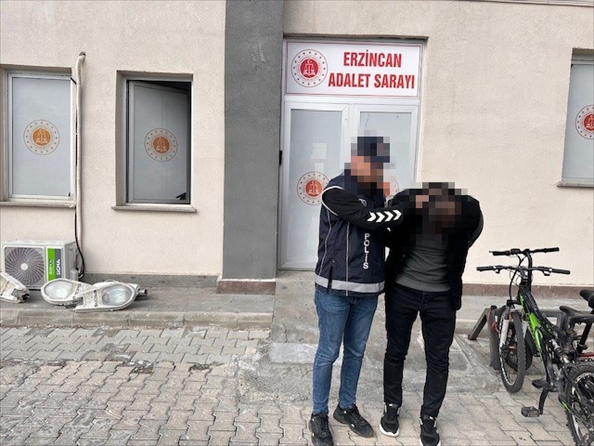 Erzincan\'da bir tırın dorsesinde 21 düzensiz göçmen yakalandı