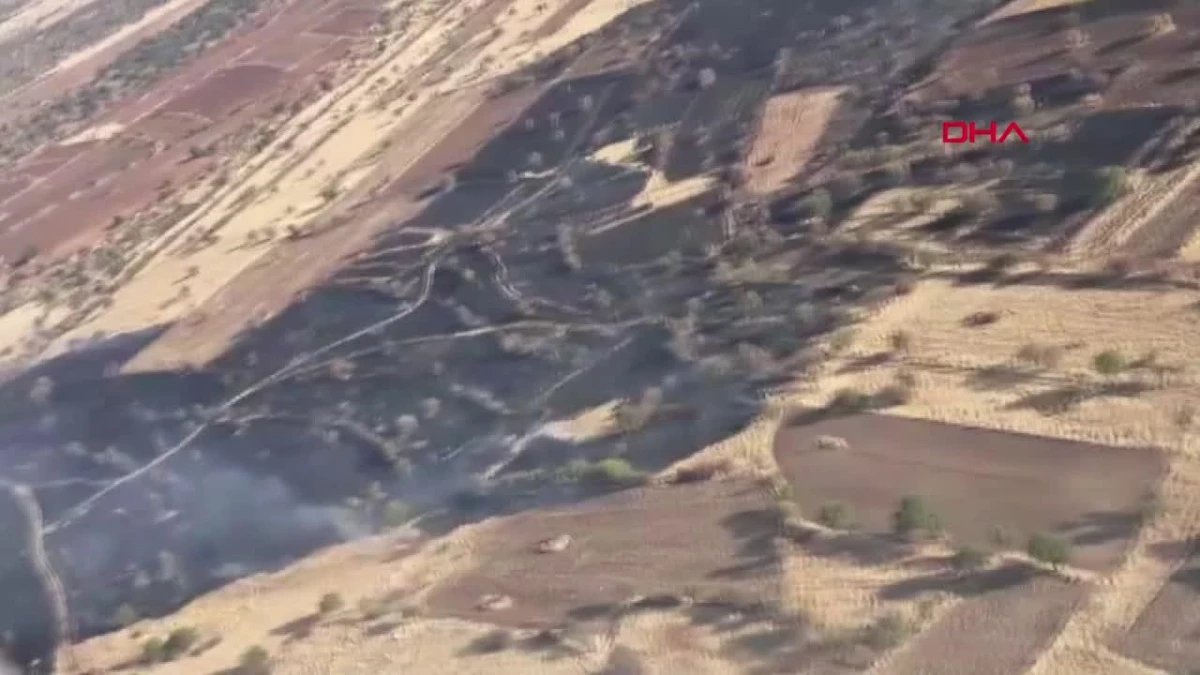 Eskişehir\'de Orman Yangını: 6 Arazi Aracı ve 2 Su Tankeri İle Müdahale Ediliyor