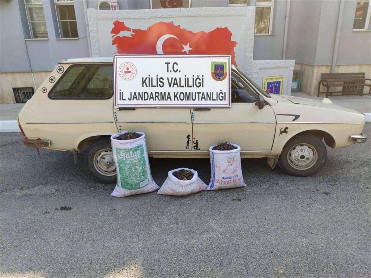 Kilis\'te tarladan hırsızlık yapan şüpheli yakalandı