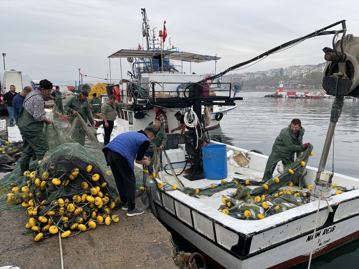 Marmara Denizi\'nde Lüfer Bolluğu