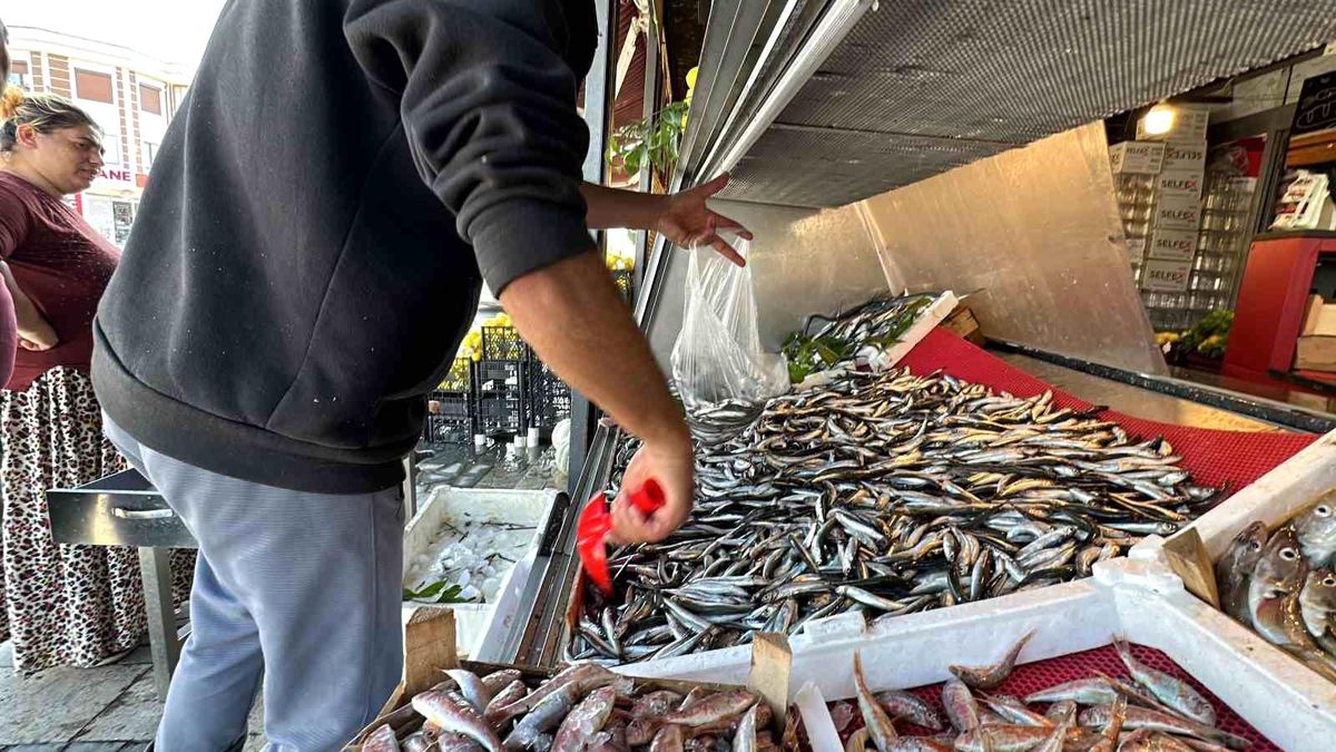 Düzce\'de Hamsi Bolluğu: Kilosu 50 Liradan Alıcı Buluyor