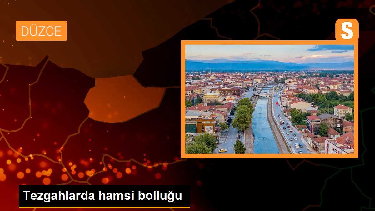 Tezgahlarda Hamsi Bolluğu