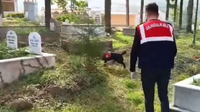 Bu kadarı da pes dedirtti! Gözaltına alınan torbacı, uyuşturucuları dedesinin mezarına saklamış Bu kadarı da pes dedirtti! Gözaltına alınan torbacı, uyuşturucuları dedesinin mezarına saklamış