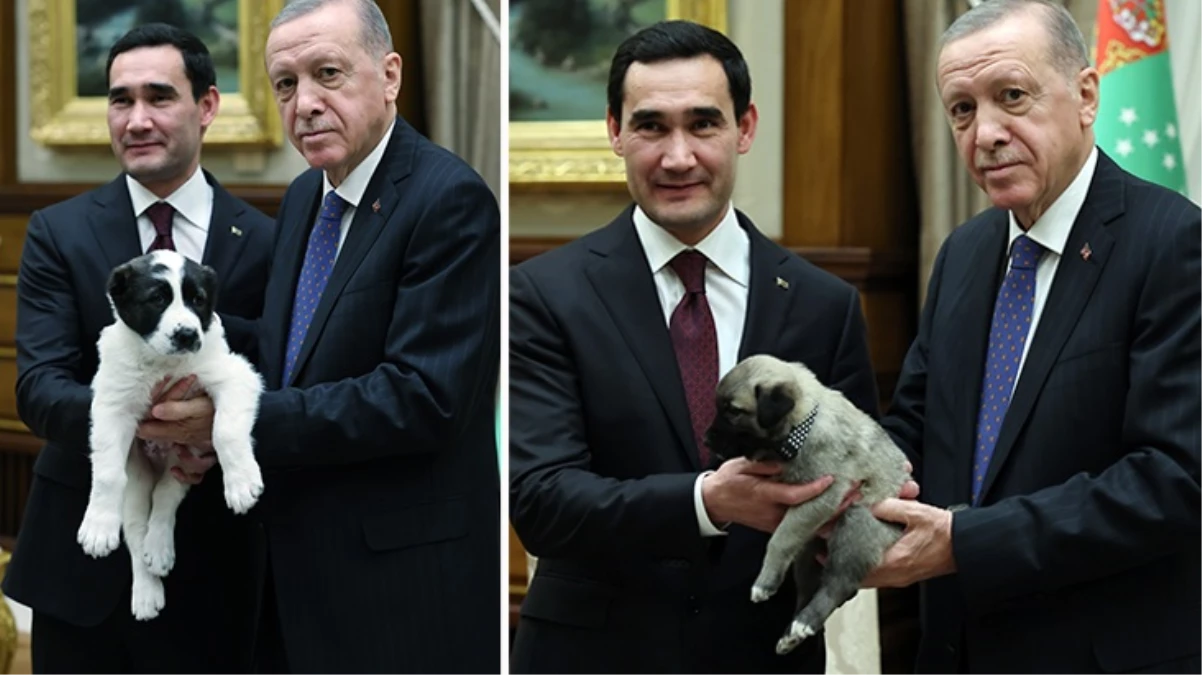 Erdoğan ve Berdimuhamedov birbirlerine köpek hediye etti