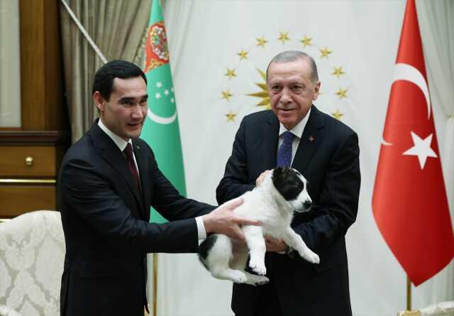 Cumhurbaşkanı Erdoğan ve Berdimuhamedov birbirlerine köpek hediye etti