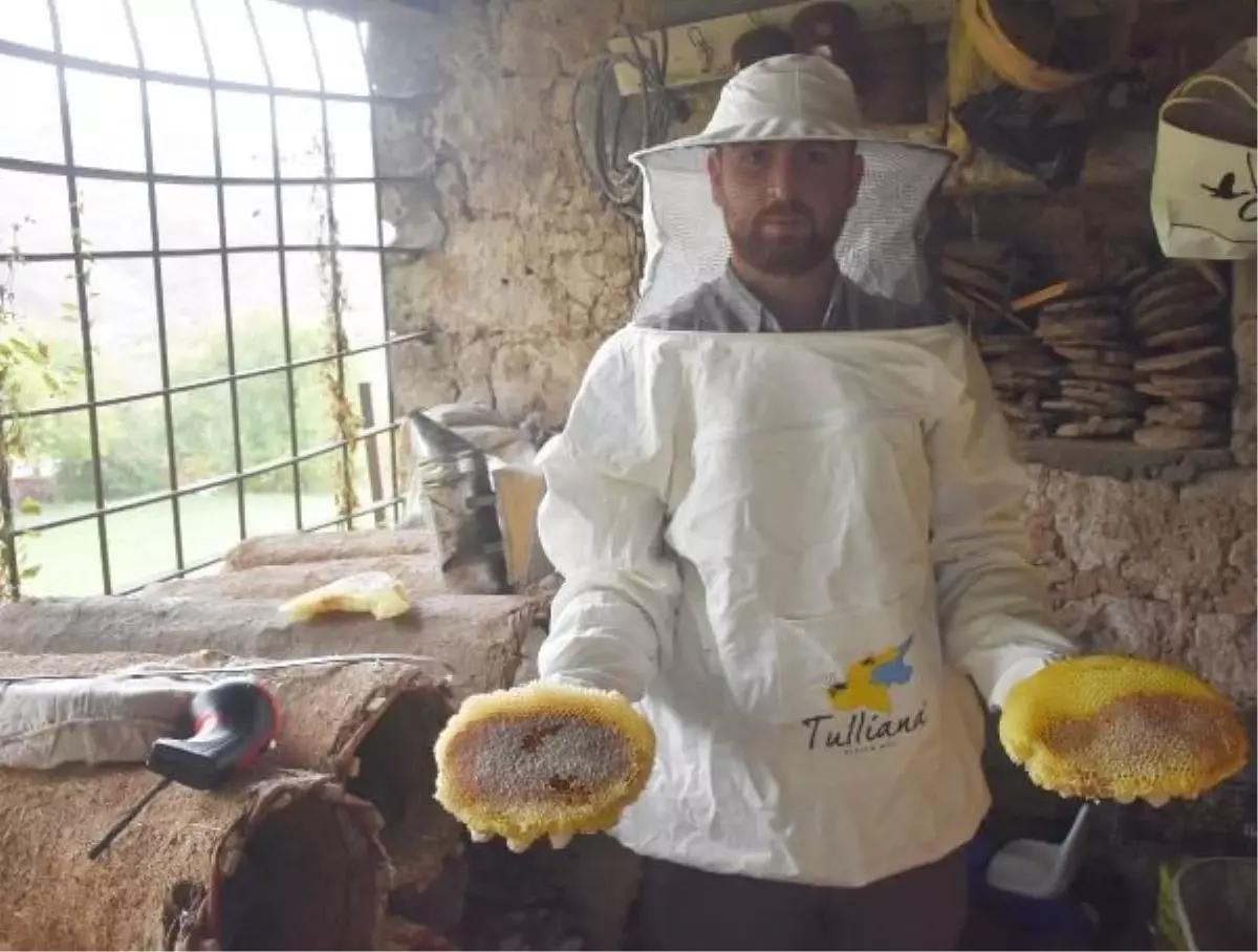 Bitlis Balı, Londra'da Yapılan Yarışmada Başarı Yakaladı