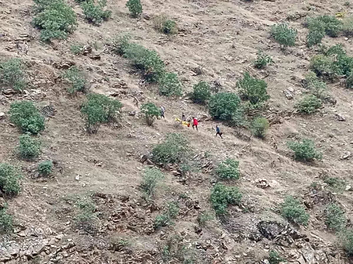 Siirt\'te menengiç toplamaya giden genç kız eşekten düşerek yaralandı