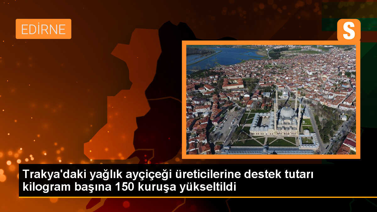 Ayçiçeği Üreticilerine Destekleme Ödemesi Artırıldı