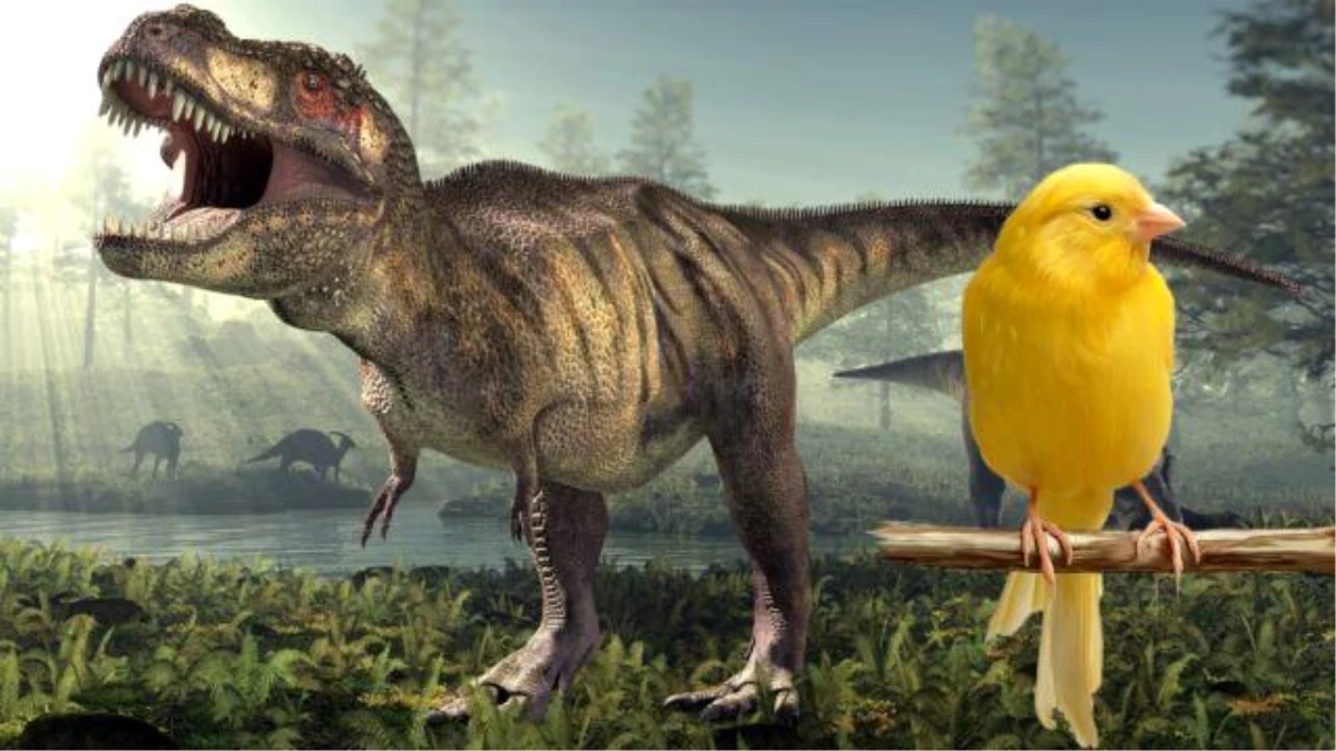 Dinozorların Sesleriyle İlgili Şaşırtıcı Bulgular Ortaya Çıktı