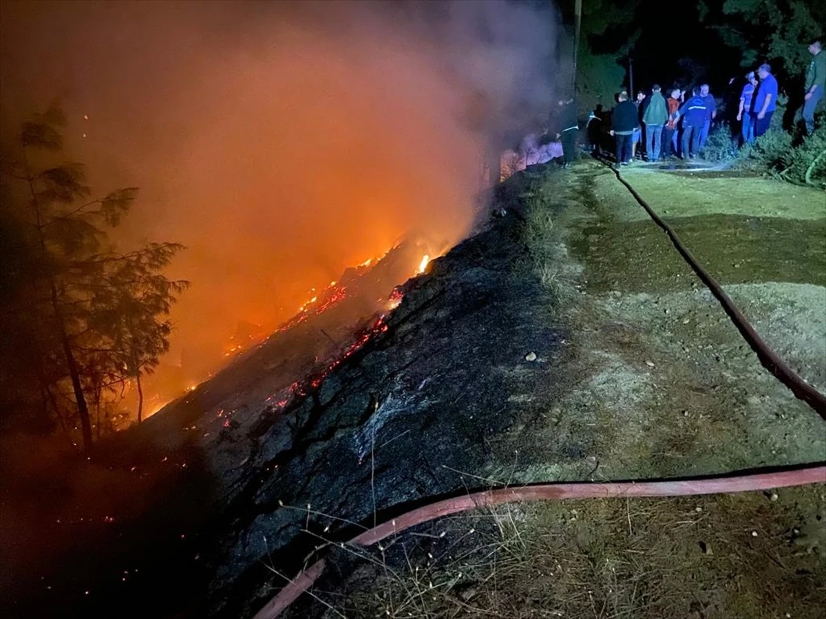 Muğla\'da Orman Yangını Kontrol Altına Alınmaya Çalışılıyor
