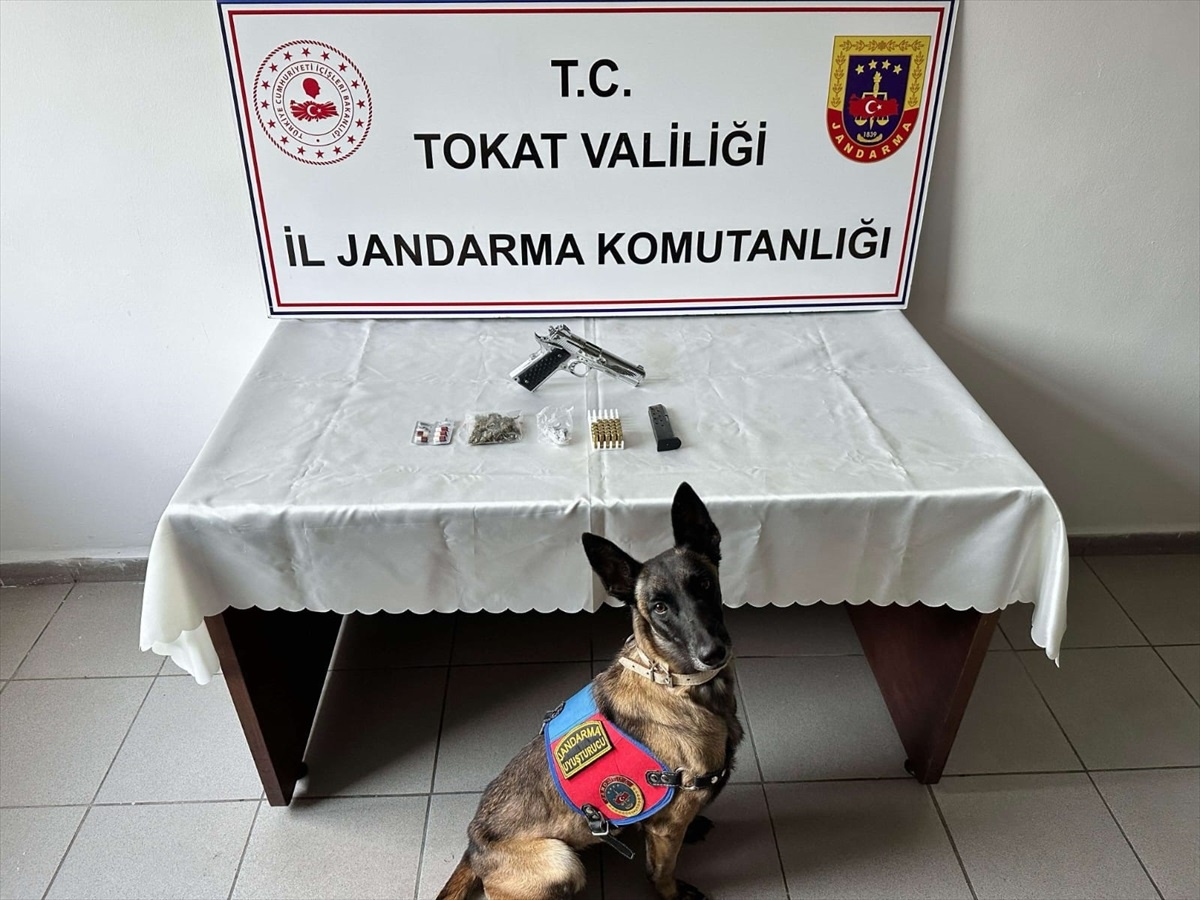 Tokat\'ta jandarma aranan 47 kişiyi yakaladı