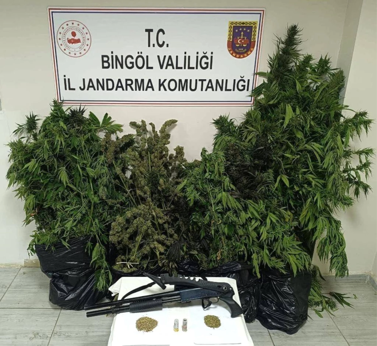 Bingöl\'de Uyuşturucu Operasyonu: 50 Kilo Esrar ve 51 Kilo Kenevir Tohumu Ele Geçirildi