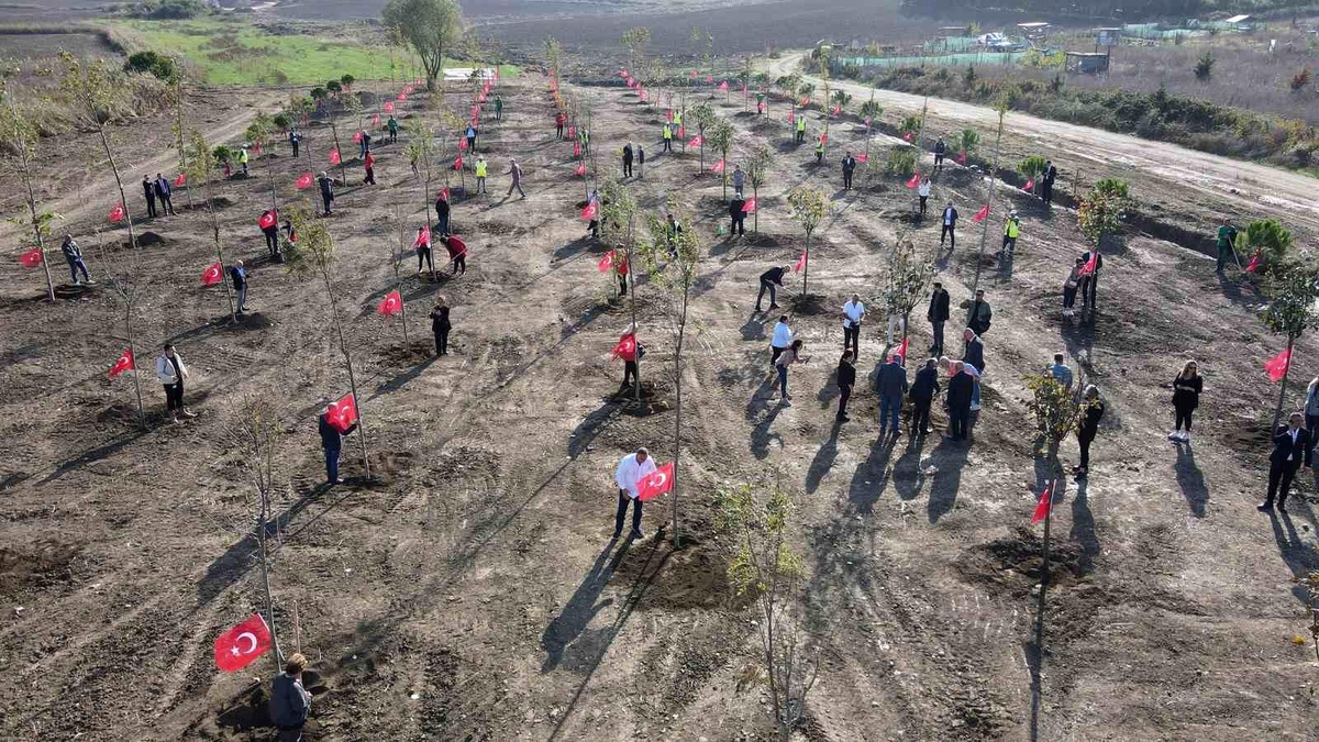 Büyükçekmece Belediyesi 100. Yıl Cumhuriyet Ormanı\'nı oluşturdu