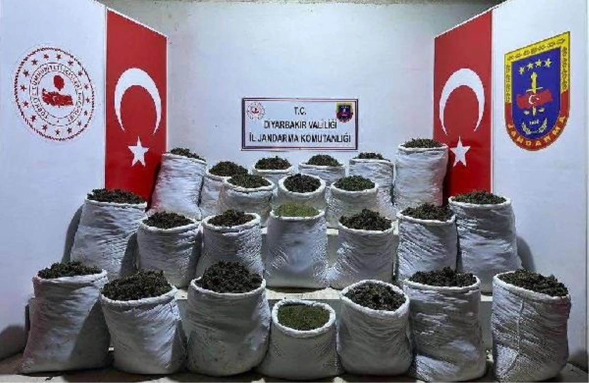 Diyarbakır\'da 435 kilo esrar, 632 bin kök kenevir ile skunk ele geçirildi: 3 gözaltı