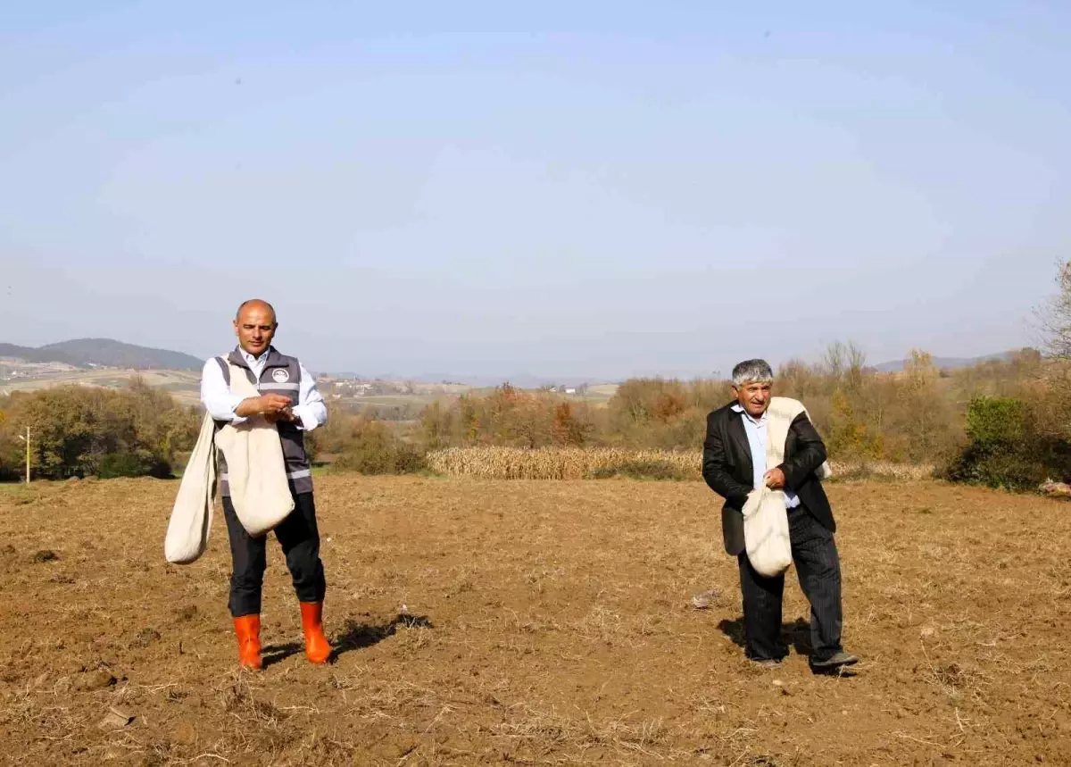 Körfez Belediyesi Çiftçilere Hibe Sertifikalı Buğday Tohumu Dağıtacak