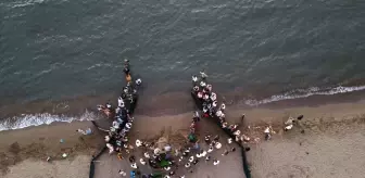 Muğla'da Tedavi Gören Deniz Kaplumbağaları ve Yavruları Denize Bırakıldı