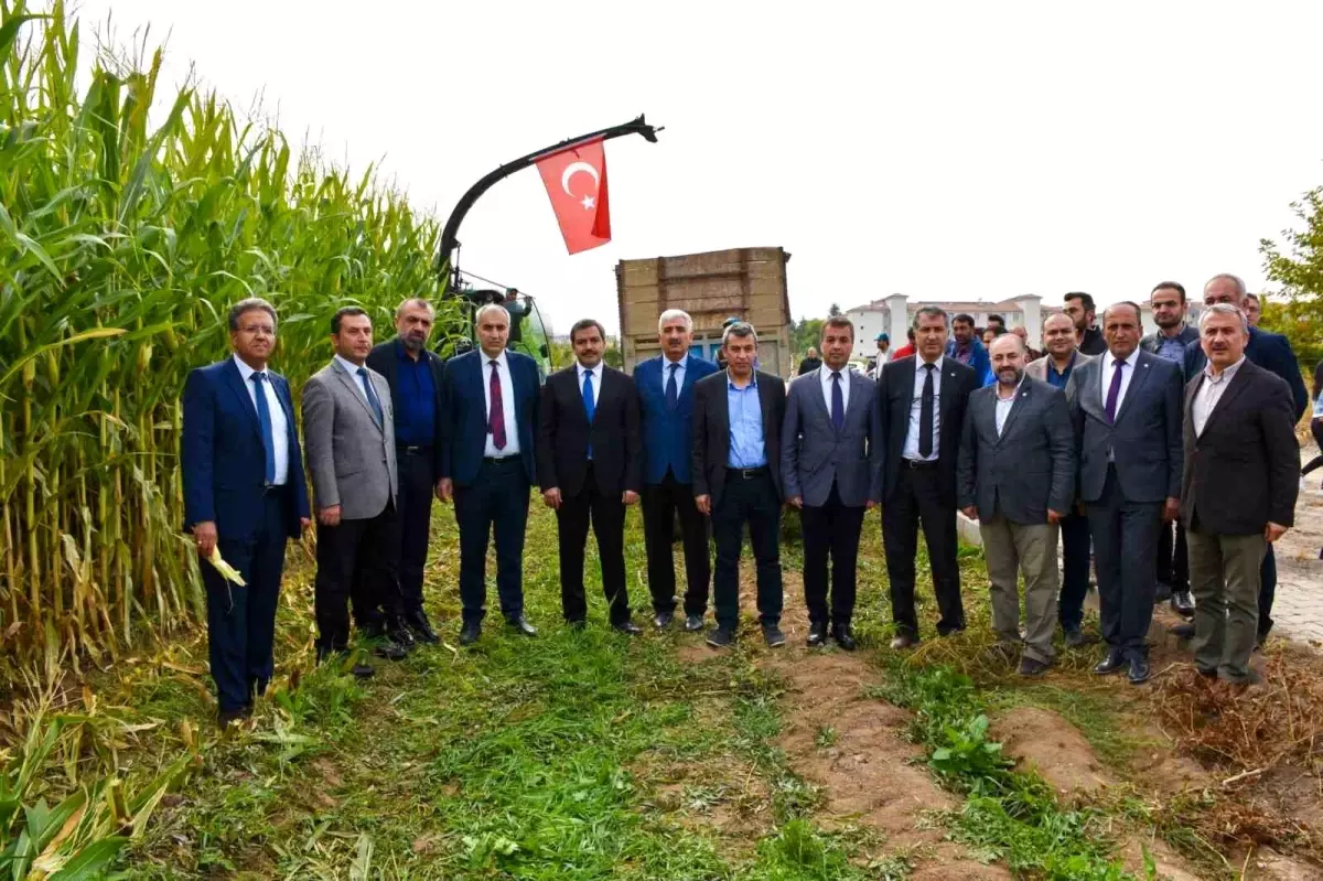 Malatya Turgut Özal Üniversitesi Ziraat Fakültesi\'nde Silajlık Mısır Hasadı Başladı