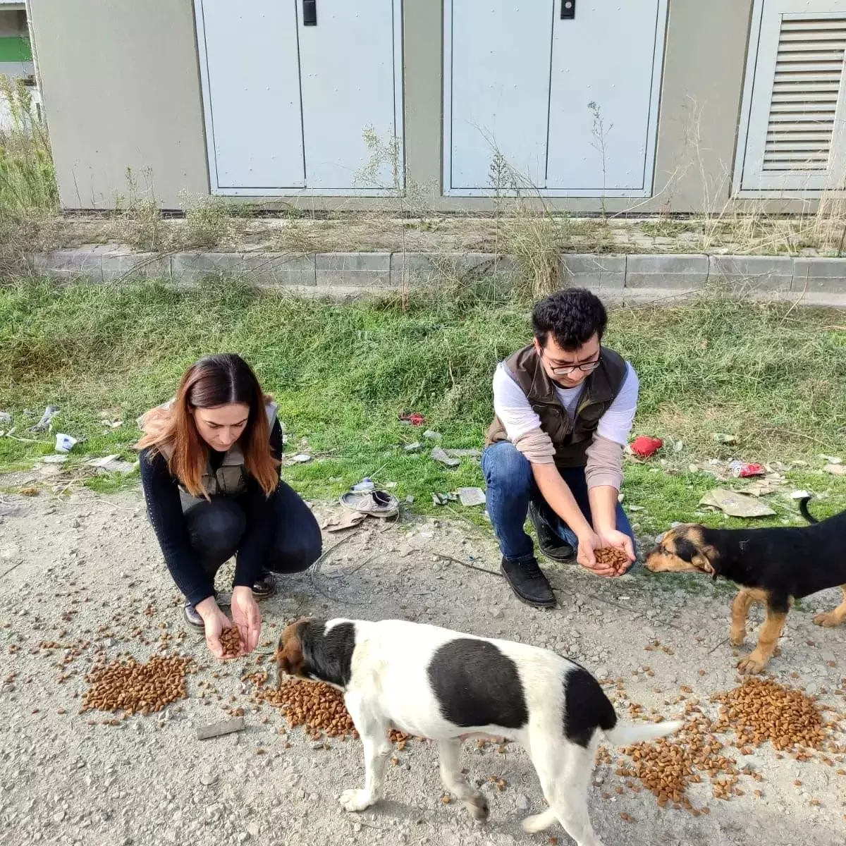 Düzce Doğa Koruma ve Milli Parklar Şube Müdürlüğü Sokak Hayvanlarına Mama Dağıttı