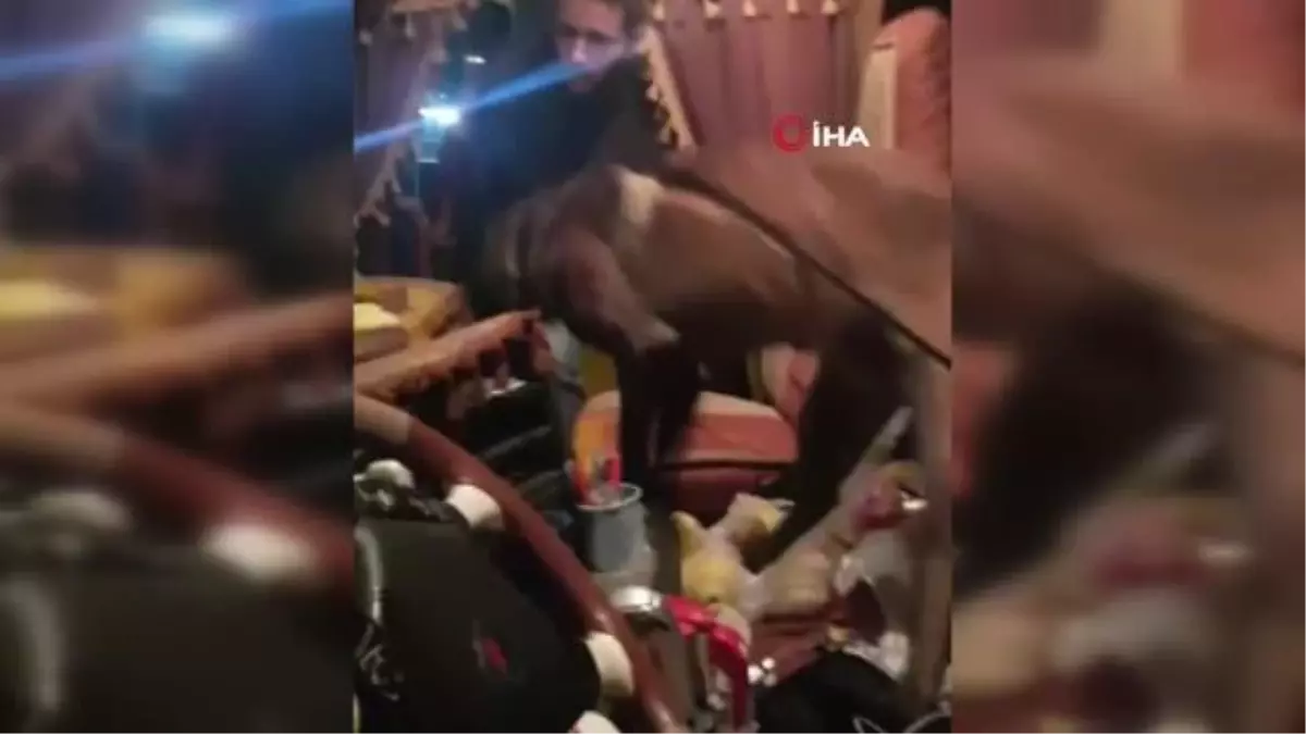 Kütahya\'da Uyuşturucu ve Tabanca Ele Geçirilen Şoför Tutuklandı