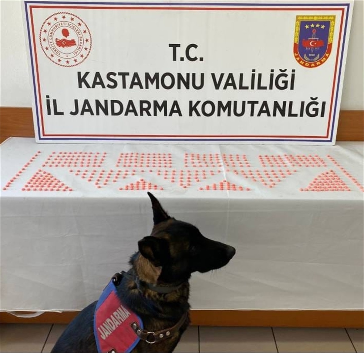 Kastamonu\'da aracında uyuşturucuyla yakalanan zanlı tutuklandı